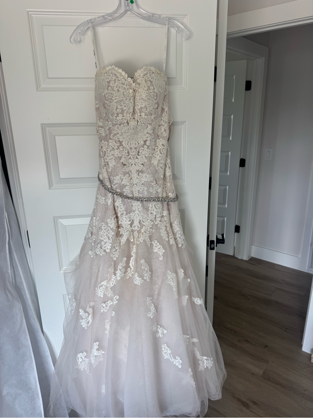 Lace Appliqu Strapless Tulle Gown In Blush Ivory With Veil